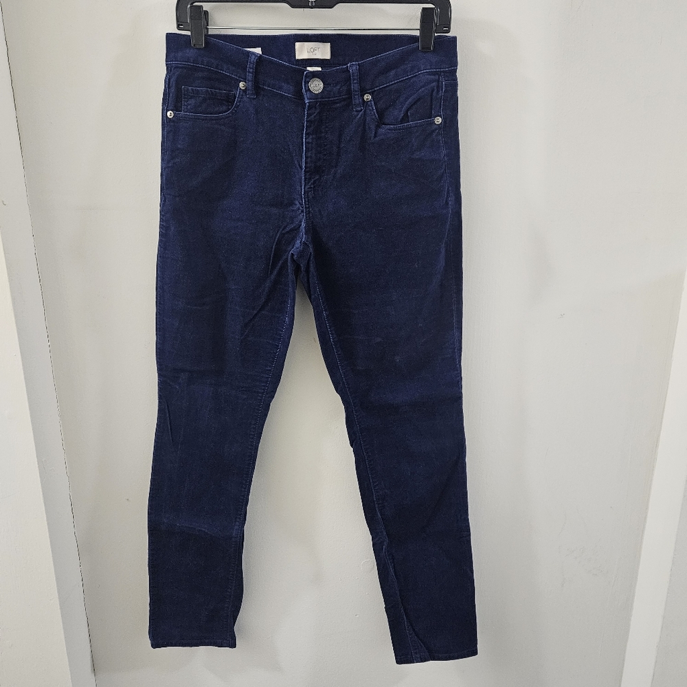 Ann Taylor LOFT Modern Velvet Feel Skinny Skinny Pants